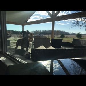 Meet your Posher, Ryan